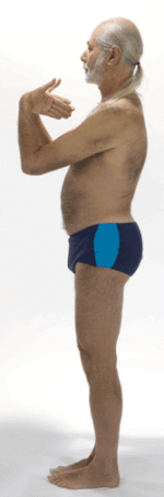 Surya B12 Transition B